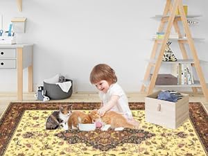 Topllen Washable Area Rug - 4'x6' Boho Living Room Rug, Non-Slip Soft Rugs Indoor for Bedroom Dining Room Office, Vintage Throw Carpet Stain Resistance (Red, 4x6ft)