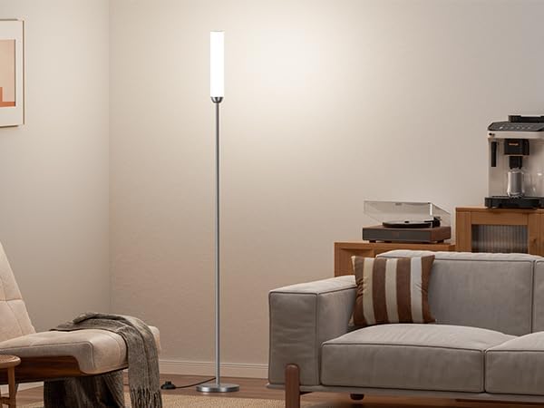 LED Floor Lamp with Remote Control, 65" Standing lamp with Stepless Adjustable 3000K-6500K Colors & 5%-100% Brightness, Foot Switch(Deep Grey)