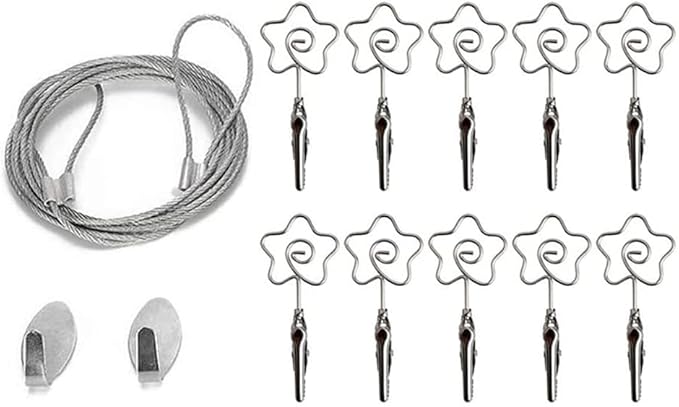 Multi-Purpose Steel Wall Hanging Photo Display Cable Wire Rod with 12 Adjustable Clips for Hanging Photos Notes Postcard and Artworks (Flower)