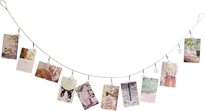 Multi-Purpose Steel Wall Hanging Photo Display Cable Wire Rod with 12 Adjustable Clips for Hanging Photos Notes Postcard and Artworks (Flower)