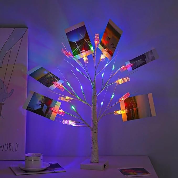 2 Pack Money Tree Gift Card Holder- DIY Birch Tree Lamp with 12 Clips and 24 Twig LEDs, Display Money Cash Photo for Birthday Christmas Home Party Festival Wedding (Coloured 2Pack)
