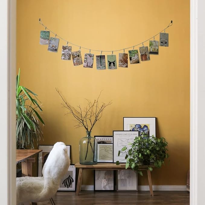 TFu Wall Hanging Photo Display, DIY Picture Photo Frame String with 12 Clips for Hanging Photos Notes and Artworks (Moon & Star)