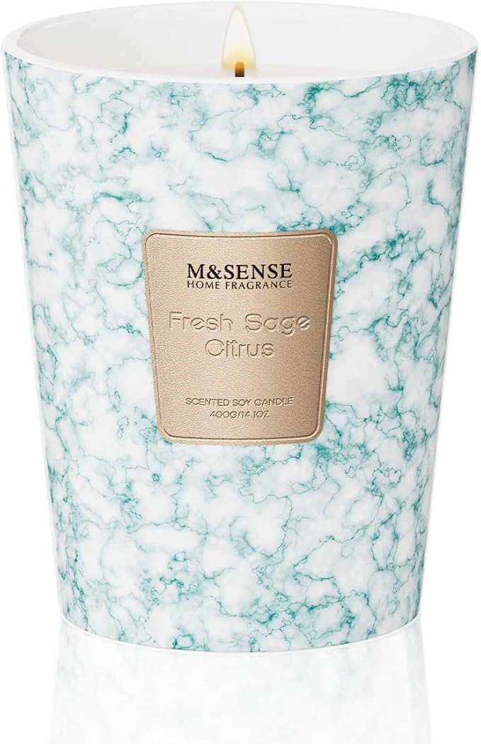 M&SENSE FreshSage Citrus Scented Candles for Home, Lead-Free Wick Highly Scented Jar Candles, 14.1 Oz 80 Hours Lasting Burning Candles Gifts for Women, Relaxing Aromatherapy Candle for Stress Relief
