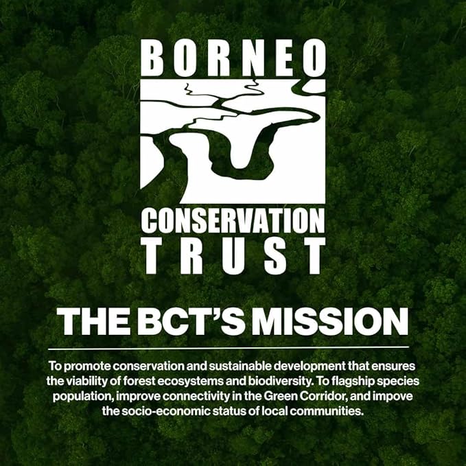 Fabric Softener, White Tea & Fig Scent, Natural Biodegradable Liquid Fabric Softener, Plant Based, Softens Clothes & Reduces Static, Gentle on Skin, HE Compatible, 64 Fl Oz, 1 Pack