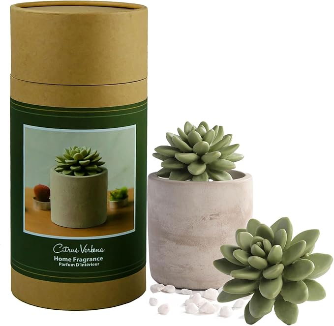 Reed Diffuser Set, Pretty Valley Home Succulent Gypsum Ceramic Fragrance Diffuser Vase Set - 3.38 fl oz (100 ml), Home Fragrance Reed Diffuser (Citrus Verbena)