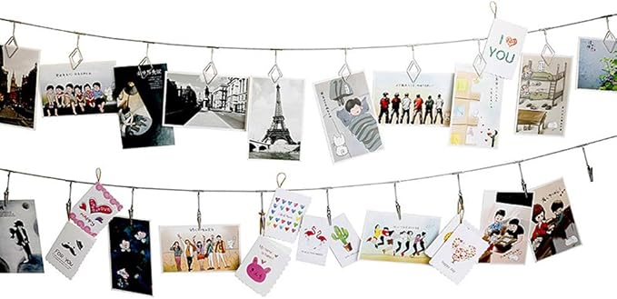 Multi-Purpose Steel Wall Hanging Photo Display Cable Wire Rod String with 12 Clips for Hanging Photos Notes and Artworks (Alligator clip)