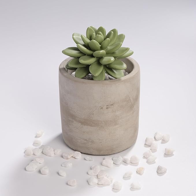 Reed Diffuser Set, Pretty Valley Home Succulent Gypsum Ceramic Fragrance Diffuser Vase Set - 3.38 fl oz (100 ml), Home Fragrance Reed Diffuser (Citrus Verbena)