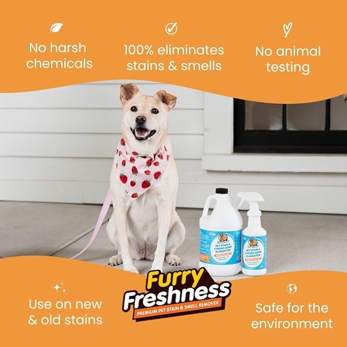 FurryFreshness Extra Strength Cat or Dog Pee Stain & Permanent Odor Remover + Smell Eliminator -Removes Stains From Pets & Kids Including Urine or Blood- Lifts Old Carpet Stains- (2 Pack)