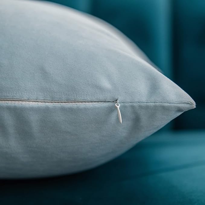 Throw Pillow Cases 12x20 Light-Blue: 2 Pack Cozy Soft Velvet Rectangular Decorative Pillow Covers for Farmhouse Home Decor