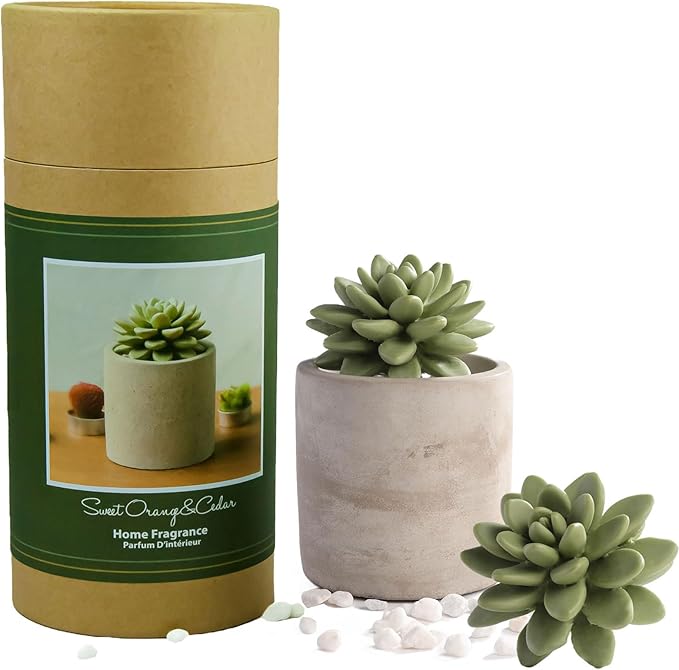 Reed Diffuser Set, Pretty Valley Home Succulent Gypsum Ceramic Fragrance Diffuser Vase Set - 3.38 fl oz (100 ml), Home Fragrance Reed Diffuser (Sweet Orange CEDARS)