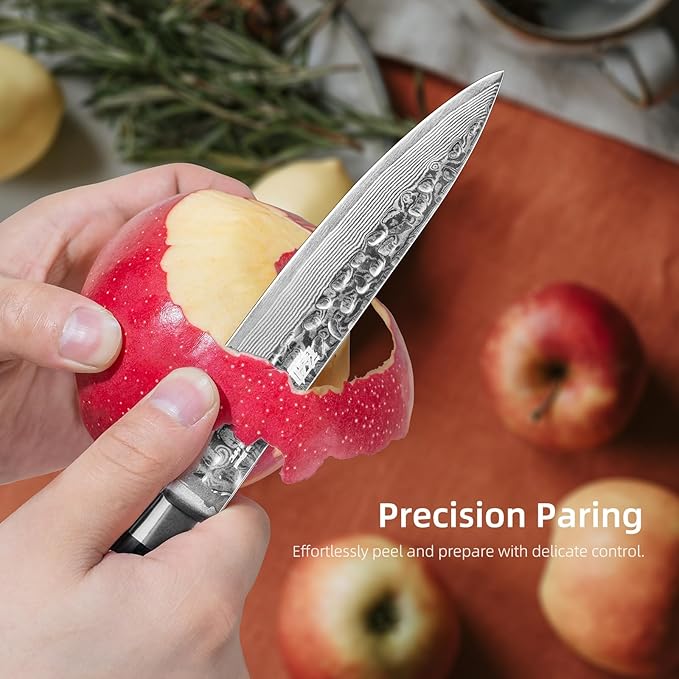 FINDKING Paring Knife 5 Inch, Damascus Small Kitchen Utility Knife for Fruit, Prep & Travel Use (Raven Series)