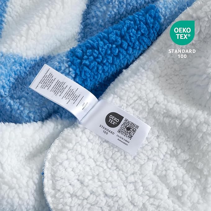Cozy Bliss Luxury Sherpa Throw Blanket for Couch, Premium Reversible Buffalo Plaid Thick Throw, Warm Cozy Soft Blanket for Home and Gifts (Light Blue, 50" x 60")