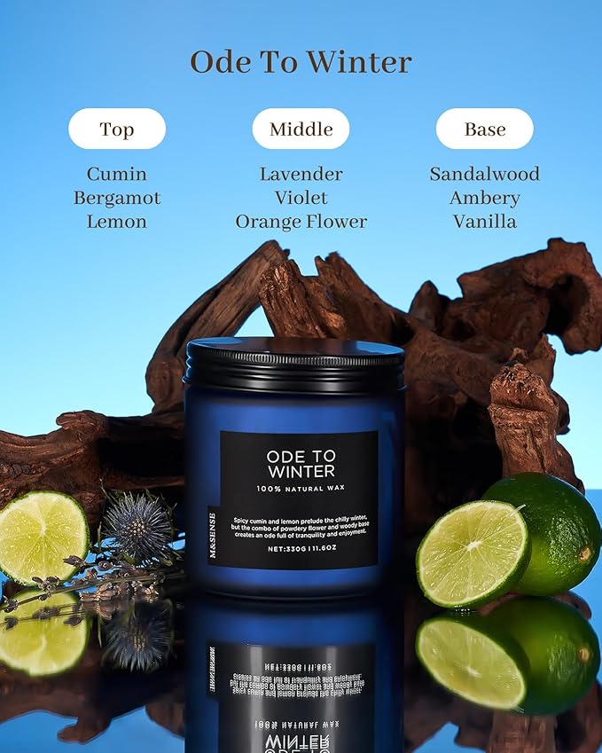 M&SENSE Ode to Winter 11.6oz Natural Soy Wax Non Toxic Candle, Up to 70 Hours Burn Time Winter Scents, 2 Cotton Wick Jar Candle Home Scented Gift