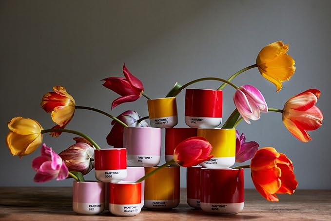 Copenhagen Design Pantone Macchiato Cup - Coffee, Latte, Macchiato Mug - 3.34oz/100ml, Cool Grey 9