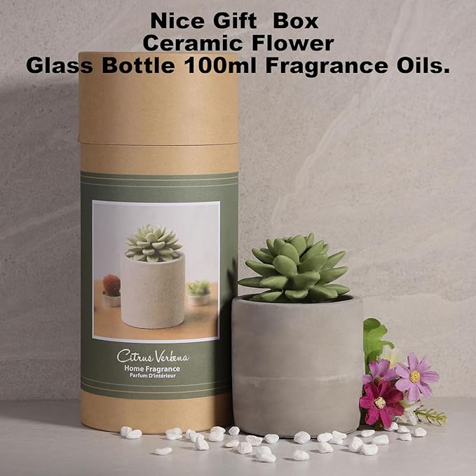 Reed Diffuser Set, Pretty Valley Home Succulent Gypsum Ceramic Fragrance Diffuser Vase Set - 3.38 fl oz (100 ml), Home Fragrance Reed Diffuser (Citrus Verbena)
