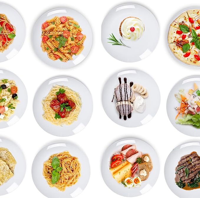 White Melamine Dinner Plates,6pcs Dishes Set,10inch Lightweight Round Plates,Scratch Resistant Unbreakable Serving Dishes,White