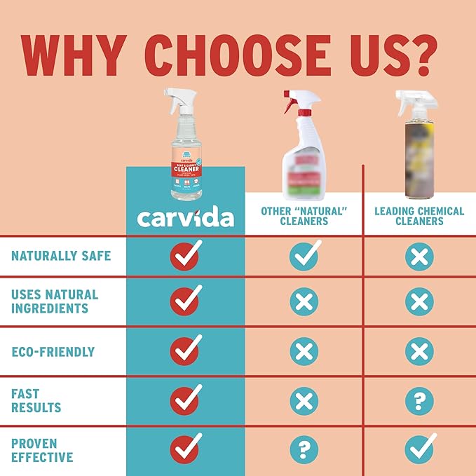 Seat & Carpet Instant Cleaner - Stain Remover Spray for Automotive Fabric Seats and Carpets, Grapefruit Scent, 16oz