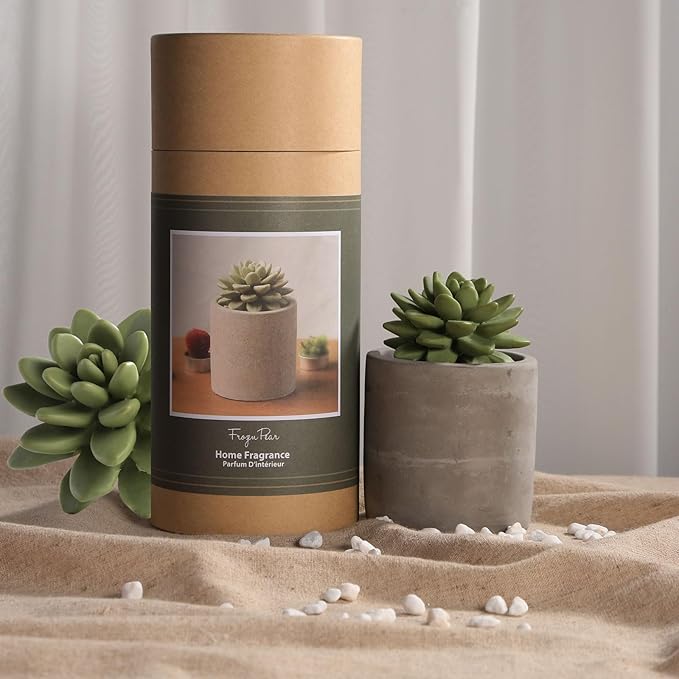 Reed Diffuser Set, Pretty Valley Home Succulent Gypsum Ceramic Fragrance Diffuser Vase Set - 3.38 fl oz (100 ml), Home Fragrance Reed Diffuser (Citrus Verbena)