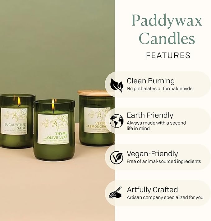 Paddywax Eco Collection Scented Soy Wax Candle in Glass Jar, Pomegranate & Currant Fragrance, Green Vessel with Wood Lid, 8 oz
