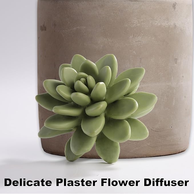 Reed Diffuser Set, Pretty Valley Home Succulent Gypsum Ceramic Fragrance Diffuser Vase Set - 3.38 fl oz (100 ml), Home Fragrance Reed Diffuser (Sweet Orange CEDARS)