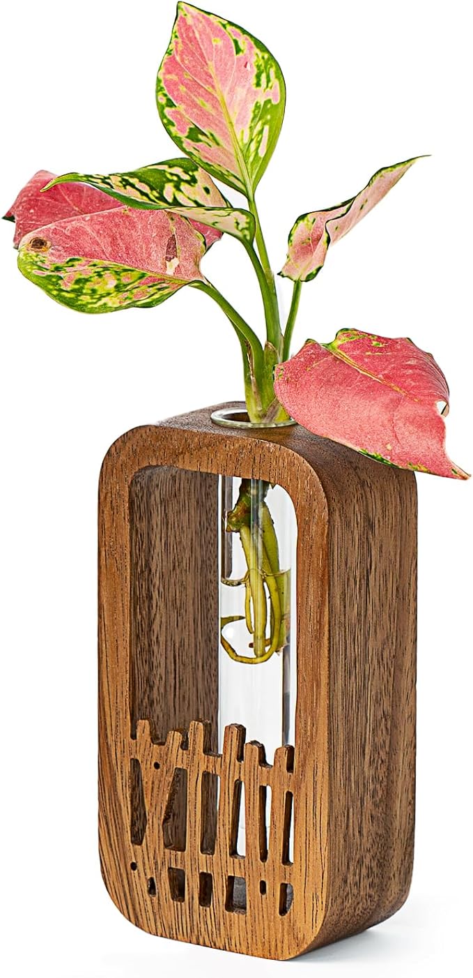 Plant Terrarium with Wooden Stand & Glass Test Tube - for Hydroponic Plants, Home Garden Office Decor, Unique Birthday, Housewarming for Plant Lovers