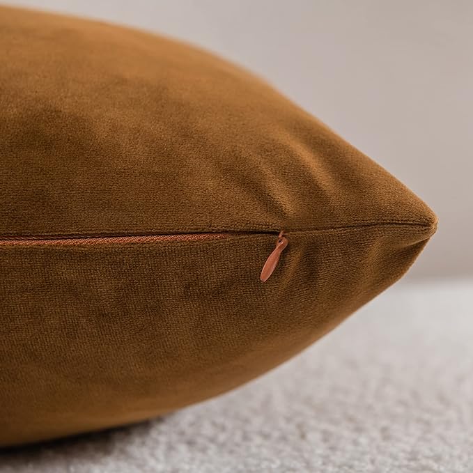 Throw Pillow Cases 22x22 Golden Brown: 2 Pack Cozy Soft Velvet Square Decorative Pillow Covers for Farmhouse Home Decor