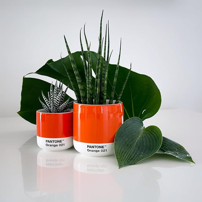 Copenhagen Design Pantone Macchiato Cup - Coffee, Latte, Macchiato Mug - 3.34oz/100ml, Black 419