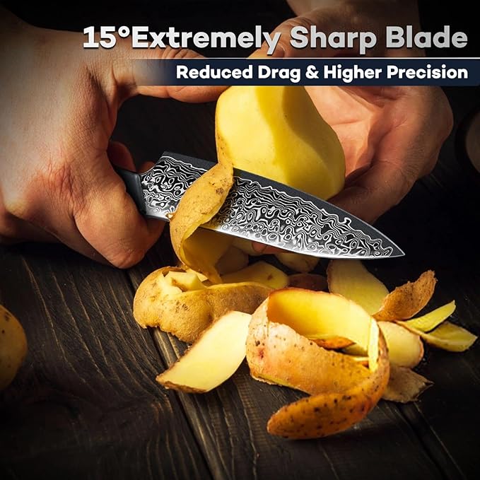 DRAGON RIOT Japansec Paring Knife 5 inch, VG-10 Steel Fruit Knives, Japanese Peeling Knife with Ergonomic Wood Handle