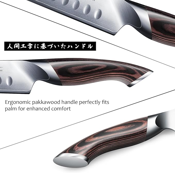 HOSHANHO Carving Knife 12 Inch, Japanese High Carbon Steel Slicing Knife with Ergonomic Pakkawood Handle, Razor Sharp Brisket Knives for Meat Cutting, BBQ, Turkey