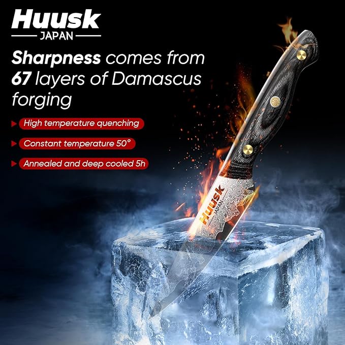 Huusk Damascus Paring Knife, 3 Inch Japanese VG10 Fruit Knives, Small Kitchen Knives for Precision Cutting, Full Tang Peeling Knives with Wooden Handle Coring, Trimming, Birthday Dad Mom Gift
