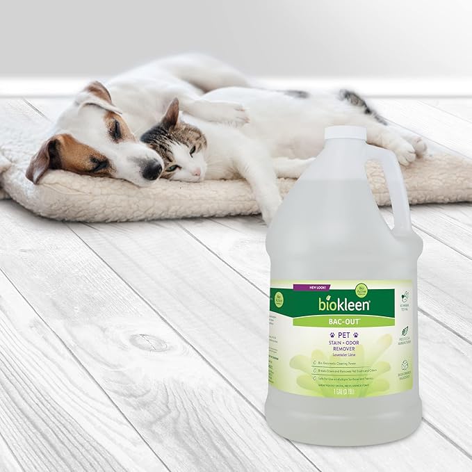 Biokleen Bac-Out Pet Stain Remover - Enzymatic, Natural, Plant-Based Destroys Stains & Odors, Safe for Surfaces & Fabrics, Carpet Cleaner - Eco-Friendly, Lavender Lime Scent, 1 Gallon