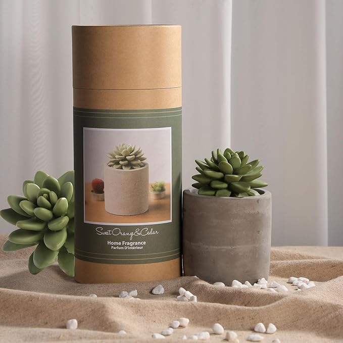 Reed Diffuser Set, Pretty Valley Home Succulent Gypsum Ceramic Fragrance Diffuser Vase Set - 3.38 fl oz (100 ml), Home Fragrance Reed Diffuser (Sweet Orange CEDARS)