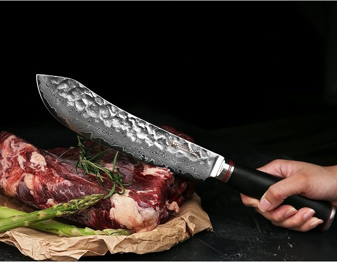 YOUSUNLONG Breaking Knife Bull Nose Pro Butcher Knife 10 inch Japanese 67 Layers Hammered Damascus Steel with Natural Leadwood Handle