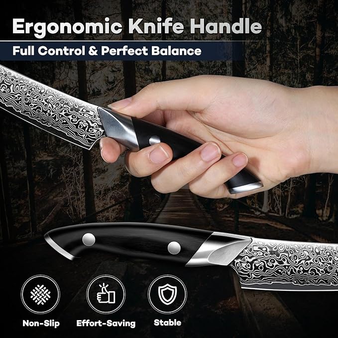 DRAGON RIOT Japansec Paring Knife 5 inch, VG-10 Steel Fruit Knives, Japanese Peeling Knife with Ergonomic Wood Handle