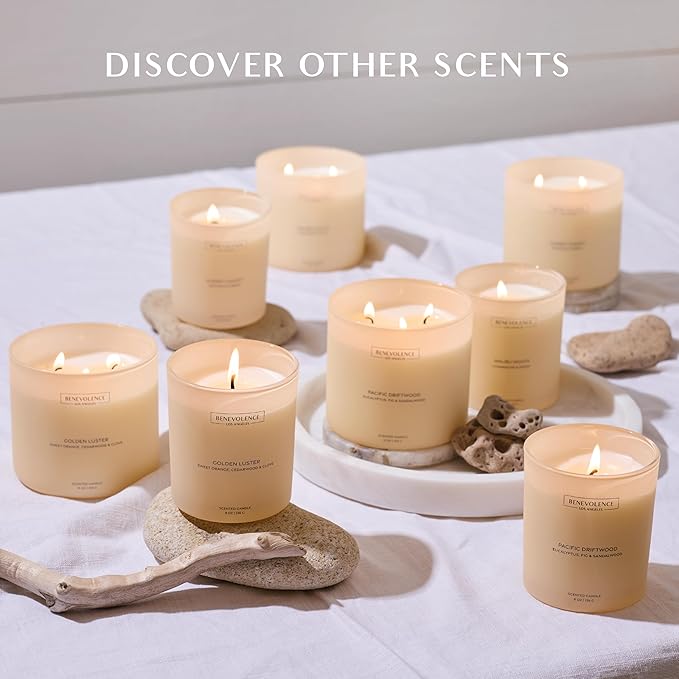Patchouli & Ebony – Benevolence LA Scented Candle | 8oz, 45-Hour Burn | Natural Soy Wax, Cotton Wick | Warm & Grounding Home Fragrance | Malibu Sands Collection – Gift for Women & Men