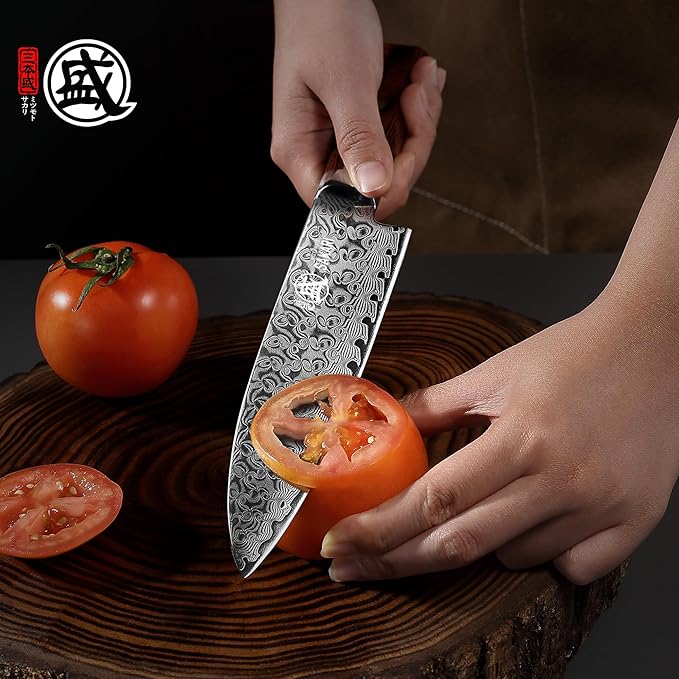 MITSUMOTO SAKARI Gyuto Chef Knife 8 inch, S301 Powder Damascus Steel Professional Kitchen Knife (Hand Forged)