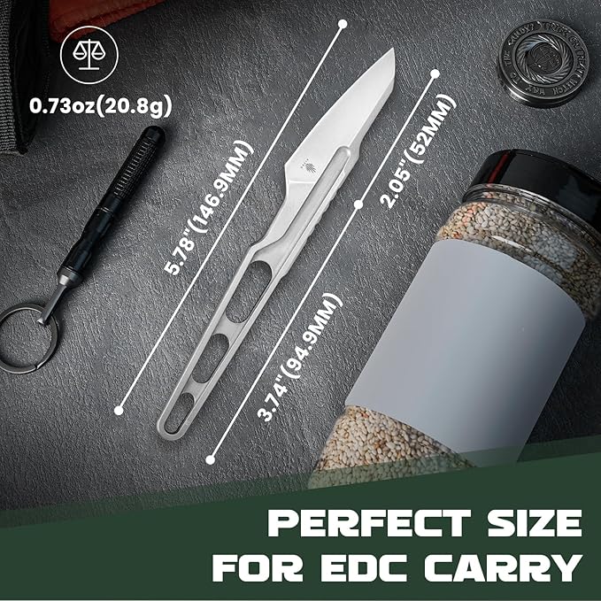 Kizer Scuttler Fixed Blade Knife with Sheath, 2.05 Inch D2 Steel Lightweight EDC Knife, D2 Handle Fixed Blade Hunting Knives, Small Survival Camping Knives, 1058A1