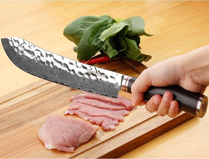 YOUSUNLONG Breaking Knife Bull Nose Pro Butcher Knife 10 inch Japanese 67 Layers Hammered Damascus Steel with Natural Leadwood Handle