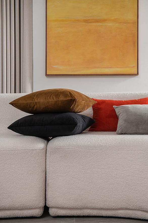 Throw Pillow Cases 22x22 Golden Brown: 2 Pack Cozy Soft Velvet Square Decorative Pillow Covers for Farmhouse Home Decor