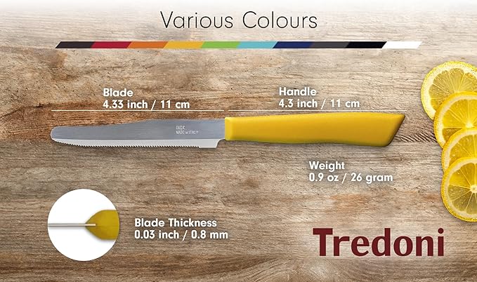 6 kitchen Knives - 4.3"/11cm Italian Stainless Steel Serrated Vegetable/Steak/Table Knife Cutlery, Rounded Tip (Blue)