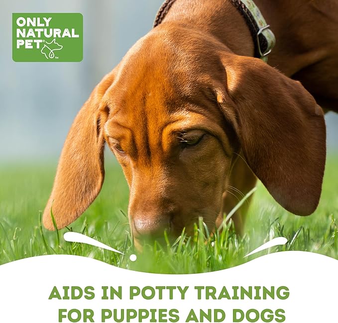 ONLY NATURAL PET No Marking Deterrent Spray for Dogs – Indoor Outdoor Urine Prevention - Stain & Odor Eliminator - Potty Pet Training Aid to Deter Peeing or Marking Carpet or Furniture – 32 Fl Oz