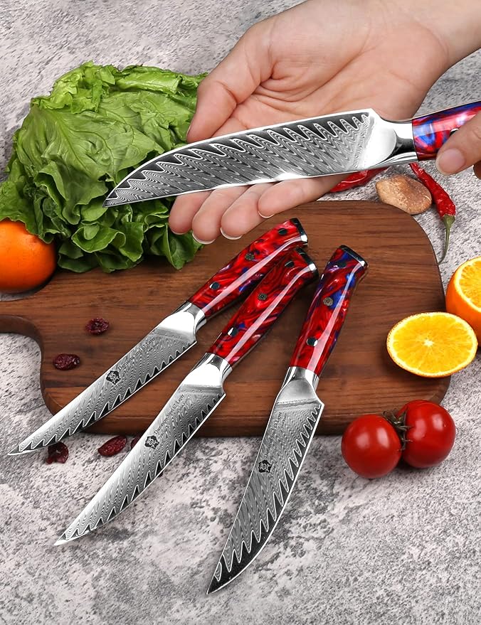 WILDMOK Steak Knives, 5 inch Non Serrated Steak Knife Set of 4, Japanese Damascus VG10 Steel Steak Knives,Premium Steak Knives Set with Gift Box