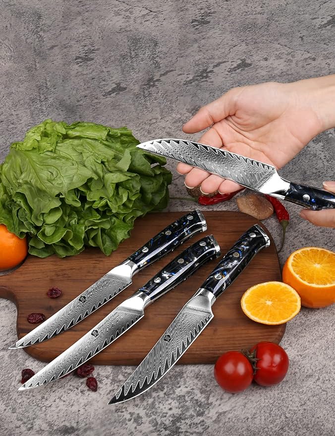 WILDMOK Steak Knives, 5 inch Non Serrated Steak Knife Set of 4, Japanese Damascus VG10 Steel Steak Knives,Premium Steak Knives Set with Gift Box