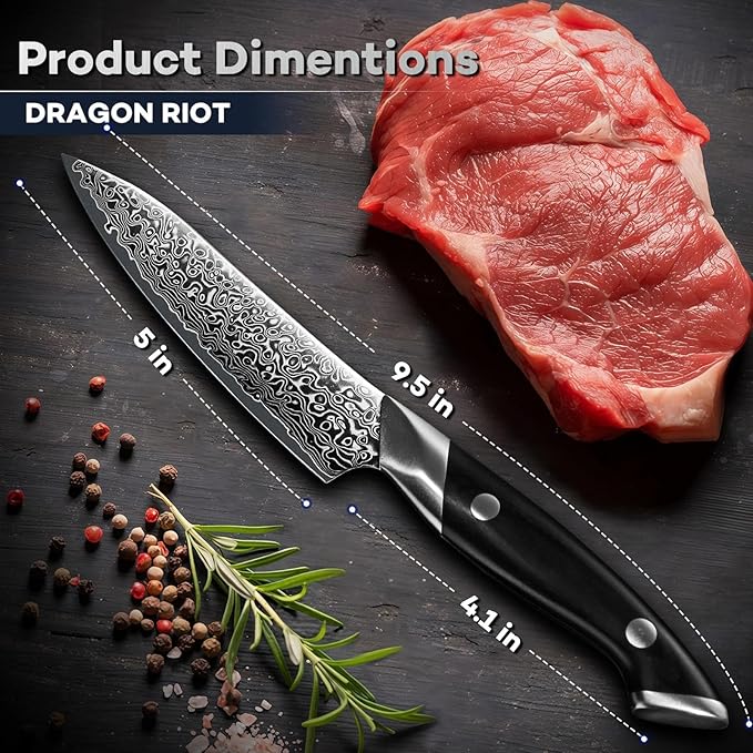 DRAGON RIOT Japansec Paring Knife 5 inch, VG-10 Steel Fruit Knives, Japanese Peeling Knife with Ergonomic Wood Handle