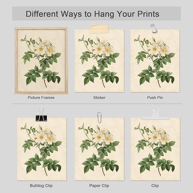 SIGNWIN Poster Bathroom Decor, Wall Art Room Decor Multicolor for Living Room, Bedroom, Office Vintage Colorful Wildflower Variety Nature Wilderness Plant Art Floral Botanical - 12"x16"x4