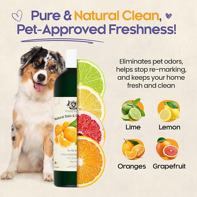 Pet Urine Odor Eliminator Spray Citrus Oil Blends 16 oz, Dog & Cat Urine Enzyme Cleaner Destroyer Wood Floor, Enzyme Pet Stain and Odor Remover for Carpet, Cat & Dog Pee Cleaner by Gerrard Larriett
