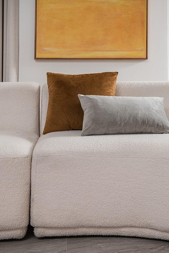 Throw Pillow Cases 22x22 Golden Brown: 2 Pack Cozy Soft Velvet Square Decorative Pillow Covers for Farmhouse Home Decor