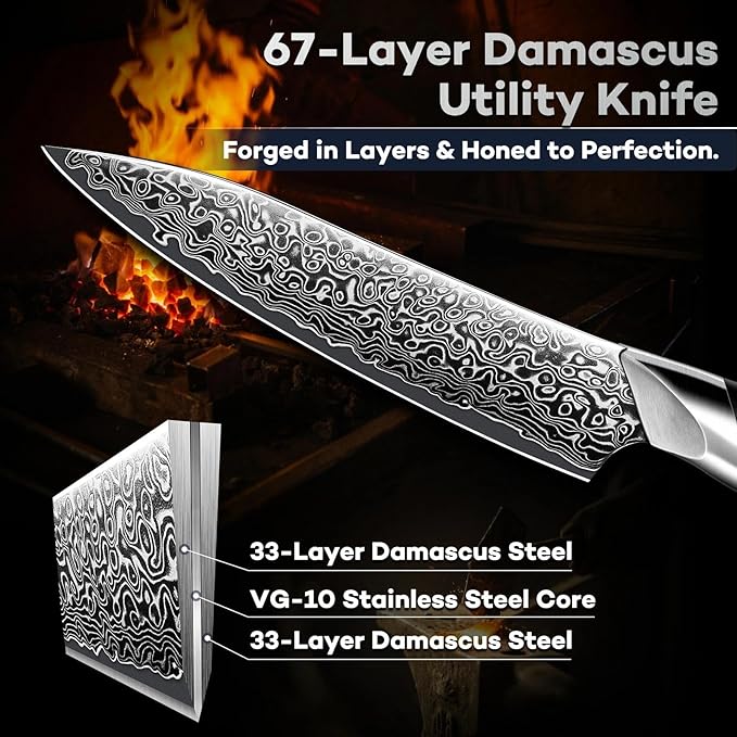 DRAGON RIOT Japansec Paring Knife 5 inch, VG-10 Steel Fruit Knives, Japanese Peeling Knife with Ergonomic Wood Handle