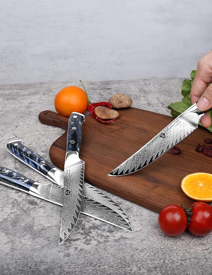 WILDMOK Steak Knives, 5 inch Non Serrated Steak Knife Set of 4, Japanese Damascus VG10 Steel Steak Knives,Premium Steak Knives Set with Gift Box