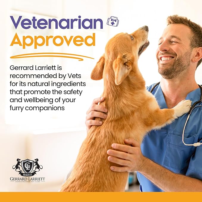 Pet Urine Odor Eliminator Spray Citrus Oil Blends 16 oz, Dog & Cat Urine Enzyme Cleaner Destroyer Wood Floor, Enzyme Pet Stain and Odor Remover for Carpet, Cat & Dog Pee Cleaner by Gerrard Larriett